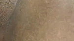 Newly Married Hot Bhabhi Tried to Take Dick in Her