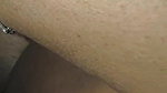 Newly Married Hot Bhabhi Tried to Take Dick in Her
