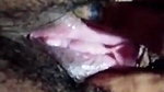 Unsatisfied Wife Showing Masturbating