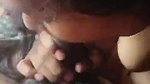 Desi Girl Sucking Dick