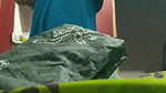 Mom saree change son record