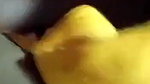 small boobs village girlfriend viral selfie sex chat