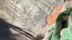 school girl bj to bf
