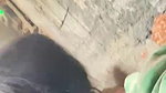school girl bj to bf