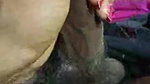 saree shemale hj