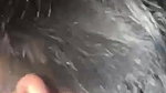 beautiful wife fucking