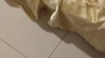 doggy fucking wife