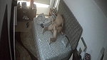 IPCAM mature Couple Romance fucking