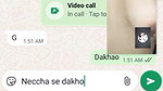 Paki Bhabhi Showing To Lover On Video Call Leaked mms