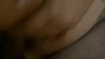 1775217237000