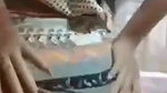 ass show on vc