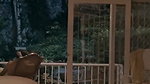 Bf Nutted in gf mouth