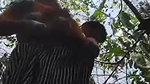 VID 20260422 WA0026