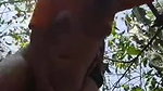 VID 20260422 WA0026
