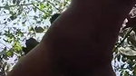 VID 20260422 WA0026