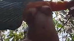 VID 20260422 WA0026