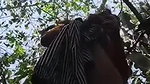 VID 20260422 WA0026