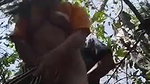 VID 20260422 WA0026