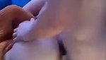 VID 20260424 WA0035