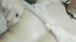 cute Pakistani girl selfie big boobs viral show