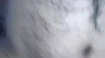 Horny Girl Fucked By Hairy Man