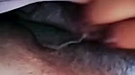 Village Bhabhi Showing Her Boobs Pussy On Video Call