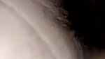Small Boobs Desi Wife Fucked Hard