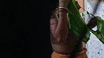 bhabhi removing blouse and viral boobs show caught