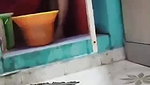 big ass bhabhi washing clothes viral MMS videos