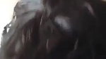 Srilankan sex video girl sucking dick viral blowjob