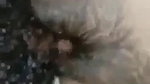 village xxx girlfriend fucking boyfriend dick