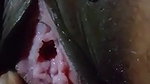 beautiful village wife pussy spreading FSI sex