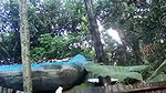 sharp boobs village girl viral nude bath clip