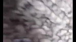 close up video call sex big boobs showing viral MMS