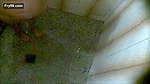 Sexy Cousin Filmed In Shower – Movies