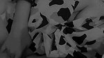 IMG015