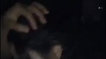 sex inside car