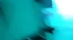 VID 20260424 WA0004