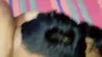 threesome Srilankan sex girl hardcore in hotel room