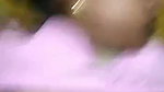 painful Indian hairy pussy bhabhi sex at home