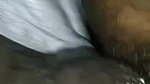 painful Indian hairy pussy bhabhi sex at home