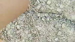 GF bushy pussy fucking outdoor sex on dry land