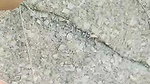 GF bushy pussy fucking outdoor sex on dry land