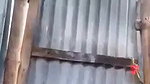 Village Sexy Wife Bathing