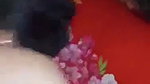 nude bhabhi blowjob with viral small boobs show