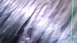 cleavage in bra with desi blowjob by horny girl