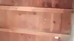 incest bhabhi sex riding dick viral romance