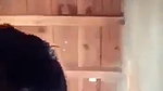 incest bhabhi sex riding dick viral romance