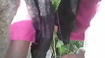 black mallu girl blowjob outdoor sex viral scandal