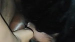 Desi Babe Blowjob Sex – Movies